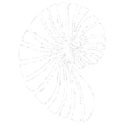 Logo Dra. Adriana De Gasperin Mora